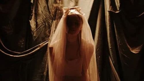 Midnight Peepshow Bild 5