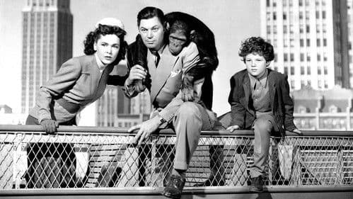 Tarzans Abenteuer in New York Bild 2