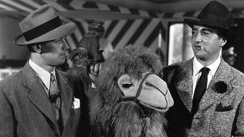 Gangsterfalle Bild 2