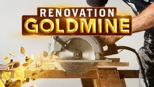 Renovation Goldmine Bild 2