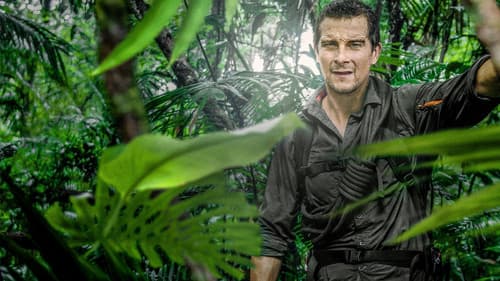 Bear Grylls - Stars am Limit Bild 7