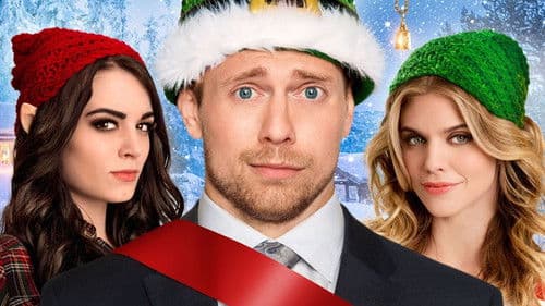 Santas kleiner Helfer Bild 7