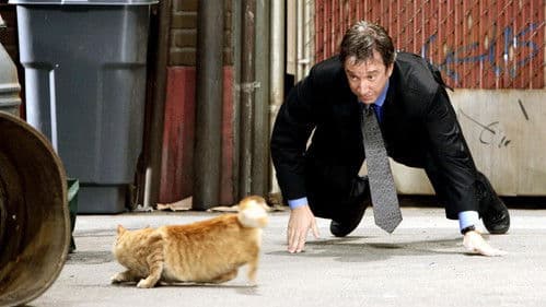 Shaggy Dog - Hör mal, wer da bellt Bild 7