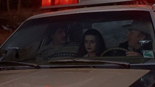 Motel Massaker Bild 3