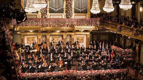 Neujahrskonzert der Wiener Philharmoniker 2018 Bild 4