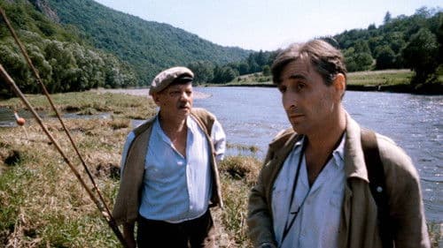 Smrt krásných srnců Bild 2