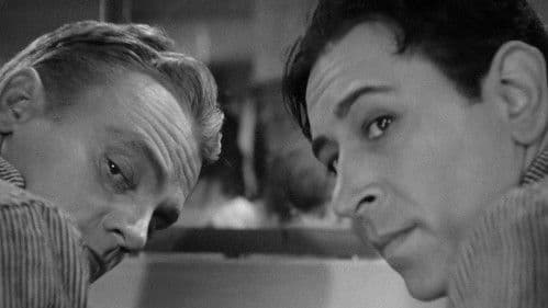 Todesangst bei jeder Dämmerung Bild 6