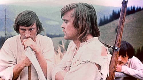 Білий птах з чорною ознакою Bild 2