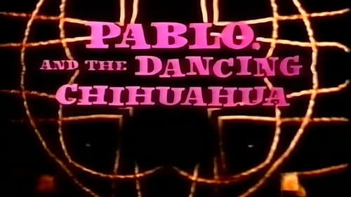 Pablo and the Dancing Chihuahua Bild 1