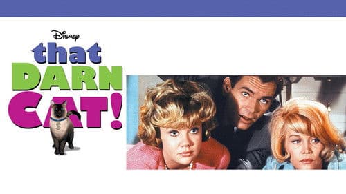 Alles für die Katz Bild 5