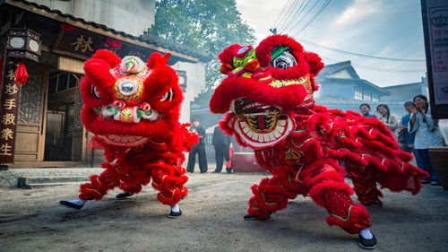 黄飞鸿之狮魂觉醒 Bild 7