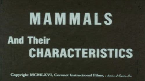 Mammals and Their Characteristics Bild 2