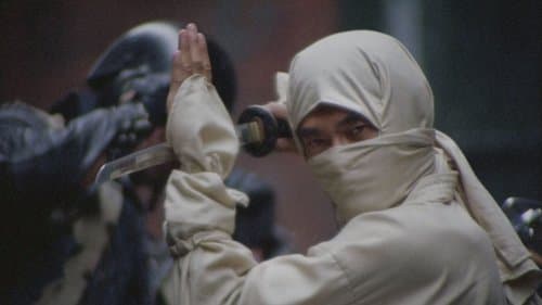 New York Ninja Bild 1