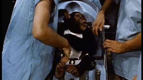 Ham, un chimpanzé dans l'espace Bild 1