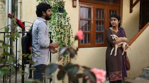 குட் நைட் Bild 4