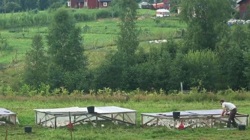 Gracie's Backyard Bild 3