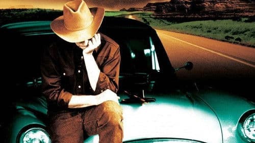 Don't Come Knocking Bild 5