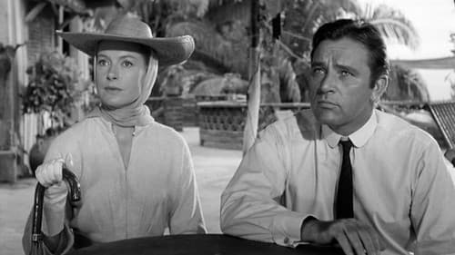 Die Nacht des Leguan Bild 4