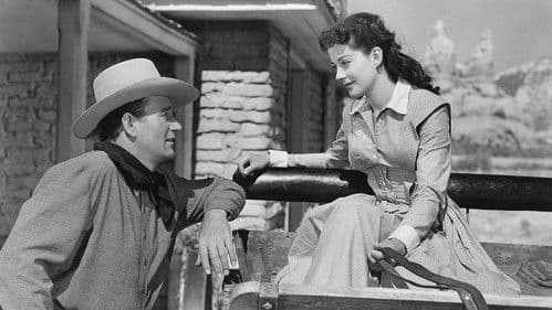 Der schwarze Reiter Bild 5