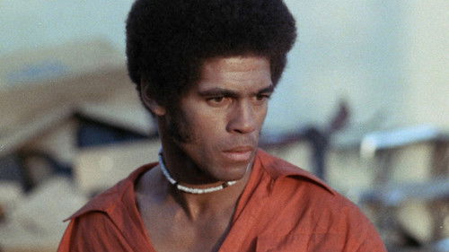 Black Samurai Bild 1