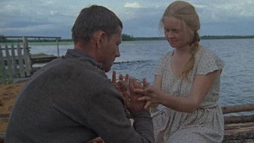 Der kalte Sommer des Jahres 53... Bild 1