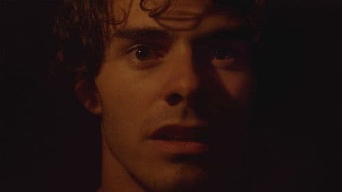 Life in Color Bild 1