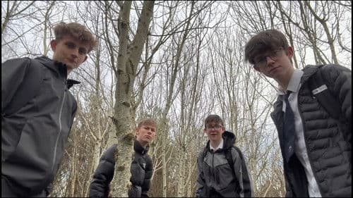 A Wise Mystical Christmas Bild 1