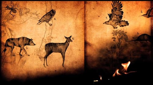 Jónsi: Go Live Bild 1