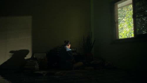 Mycelium Memory Bild 1