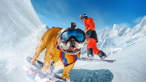 Powder Pup Bild 1