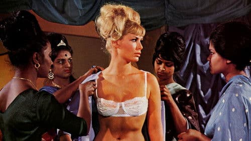 Blonde Fracht für Sansibar Bild 1