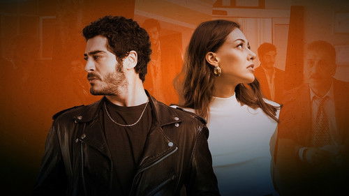 Yarım Kalan Aşklar Bild 8