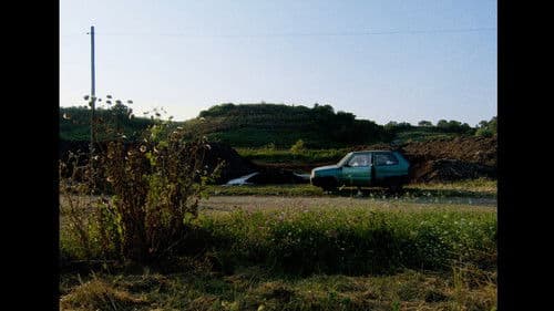 Il Panda Minore Bild 1