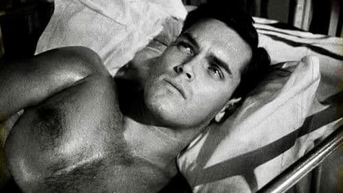 Sailor of the King Bild 4