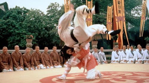 Belagerung der Shaolin Bild 2