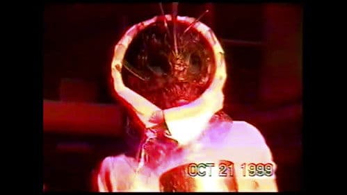 Morfología underground Bild 1