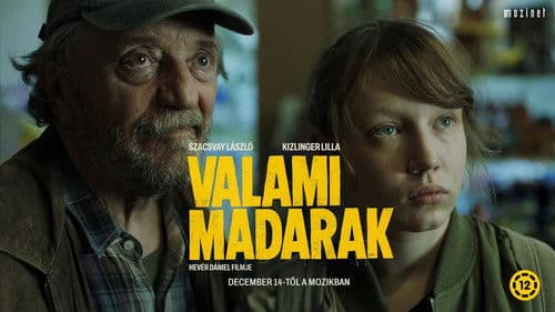 Valami madarak Bild 2