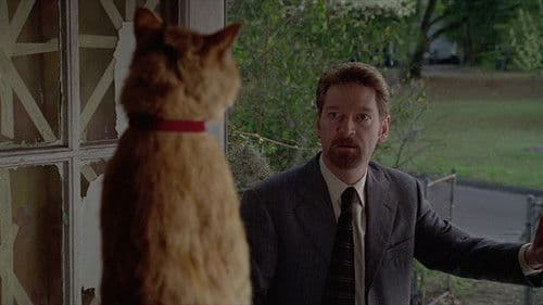 The Gingerbread Man Bild 6