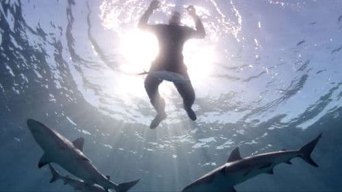 Isolation - Run like Hell Bild 5