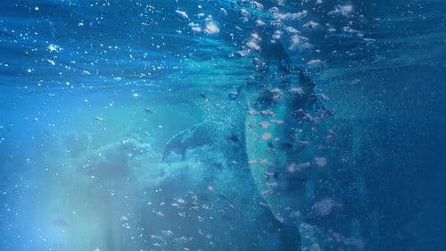 Il Bacio Azzurro Bild 1