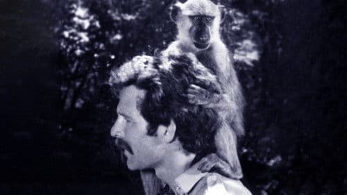 Im Schatten des Kilimandscharo Bild 3