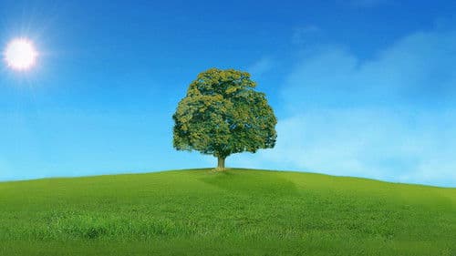 Who Do You Think You Are? Bild 5