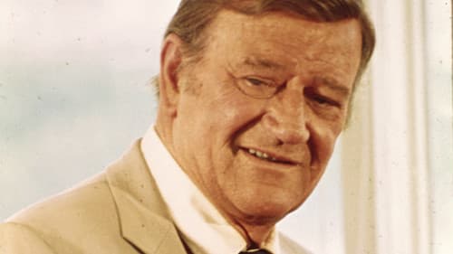 Brannigan - Ein Mann aus Stahl Bild 7