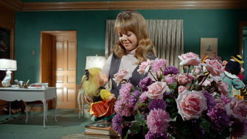 Das Kabinett der blutigen Hände Bild 5