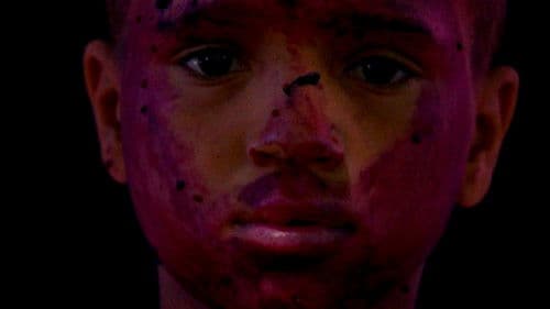 Stimmen ohne Grenzen - Die Musik der Roma Bild 1