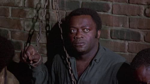 Die Sklavenhölle der Mandingos Bild 4