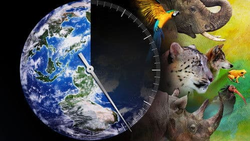 Racing Extinction - Das Ende der Artenvielfalt ? Bild 1