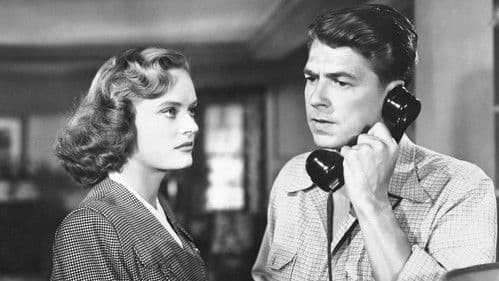 Stallion Road Bild 3