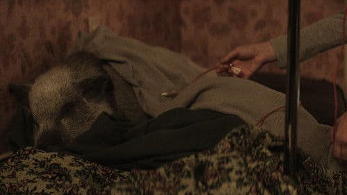 Birth/Rebirth Bild 7