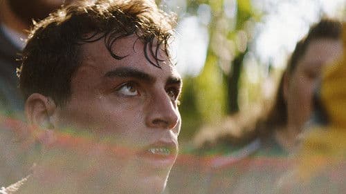 Lions in the Corner Bild 1